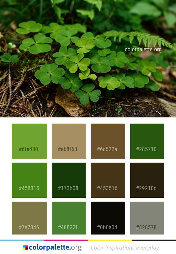 Plant Vegetation Leaf Color Palette