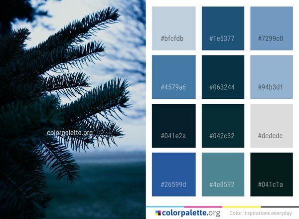 Sky Blue Nature Color Palette