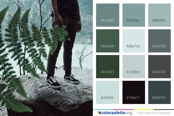 Tree Green Woody Plant Color Palette