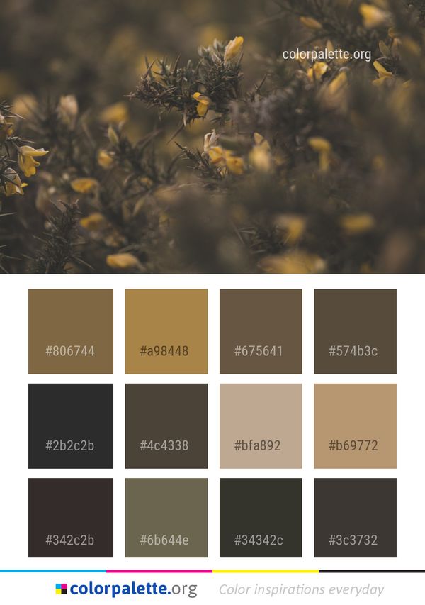 Yellow Flora Morning Color Palette
