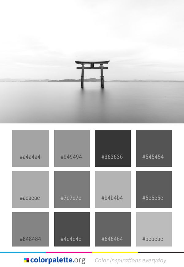 Black And White Water Monochrome Photography Color Palette