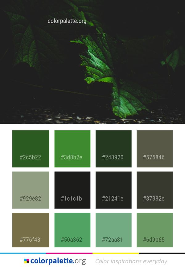 Green Nature Ecosystem Color Palette