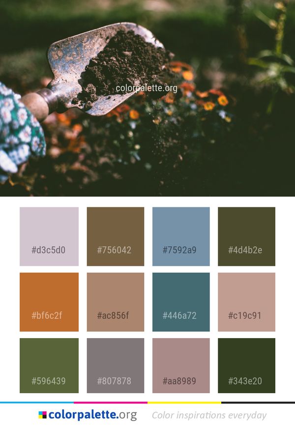 Leaf Water Plant Color Palette