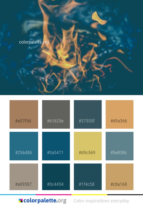 Marine Biology Underwater Organism Color Palette