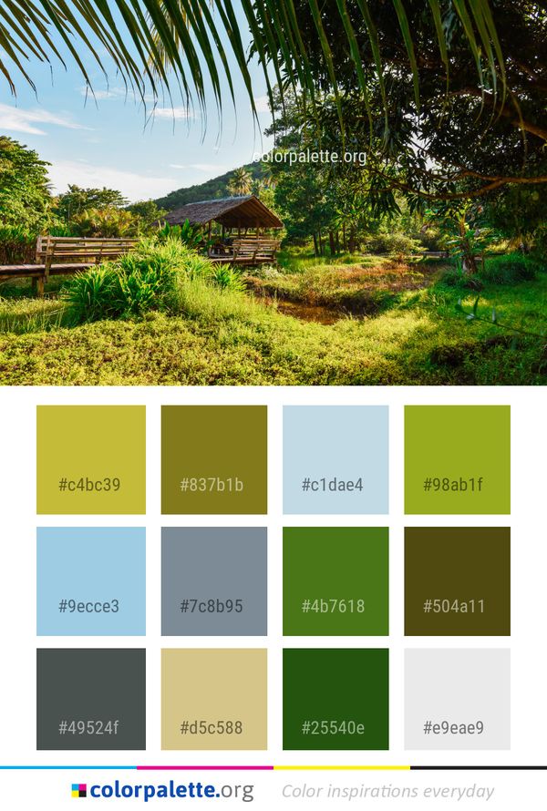 Nature Vegetation Green Color Palette