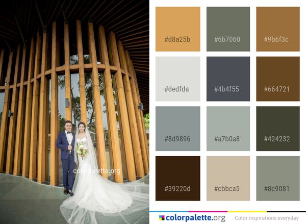 Photograph Bride Dress Color Palette