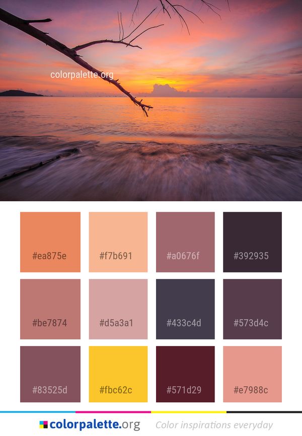 Sea Horizon Sky Color Palette
