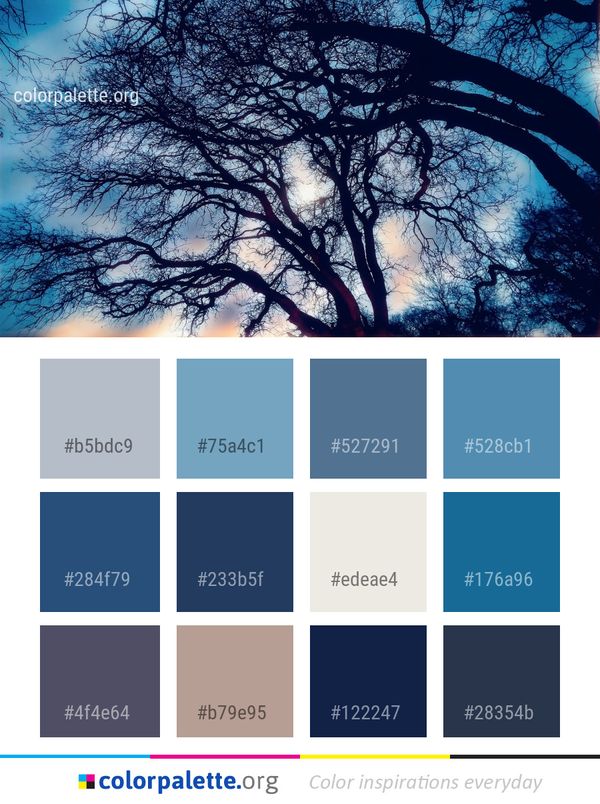 Sky Blue Branch Color Palette