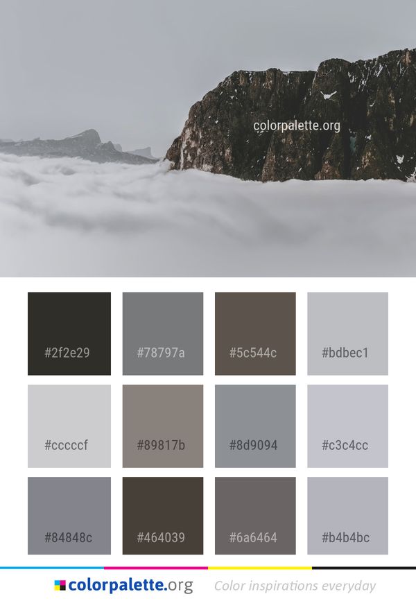Snow Winter Freezing Color Palette