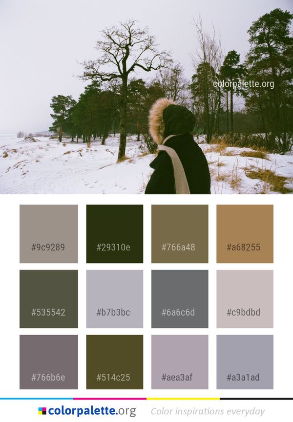 Tree Winter Snow Color Palette