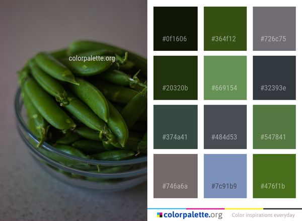 Vegetable Snap Pea Color Palette
