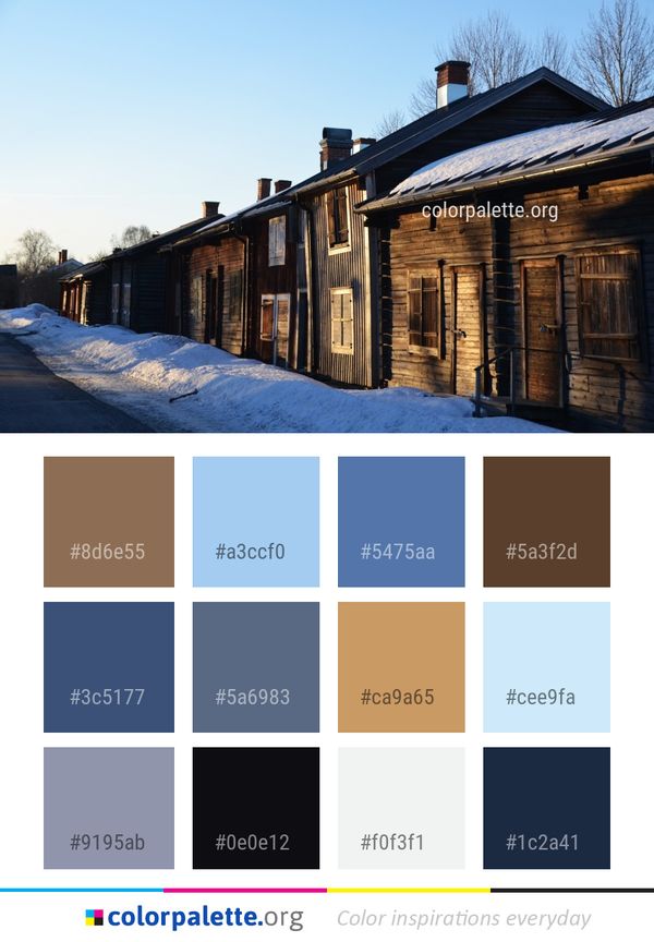Winter Snow House Color Palette