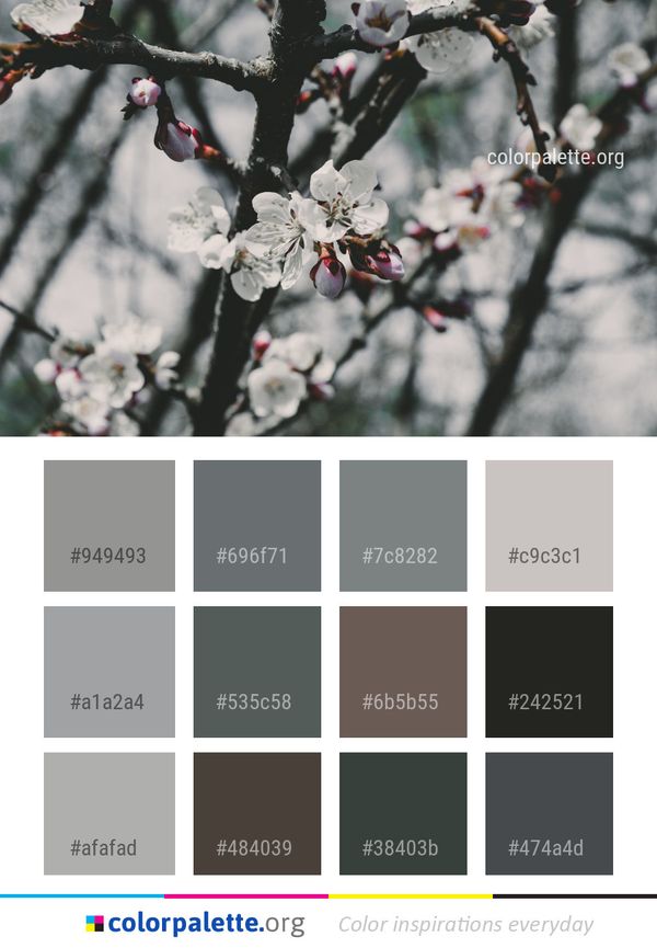 Blossom Branch Spring Color Palette