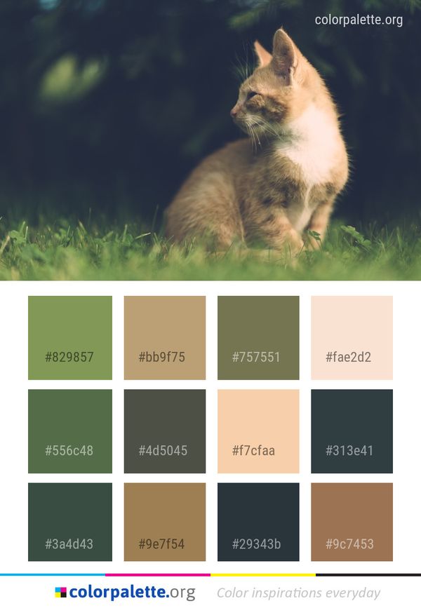 Cat Whiskers Green Color Palette