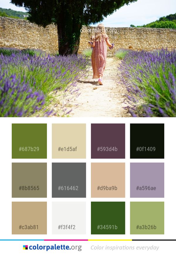 Flower Plant Lavender Color Palette