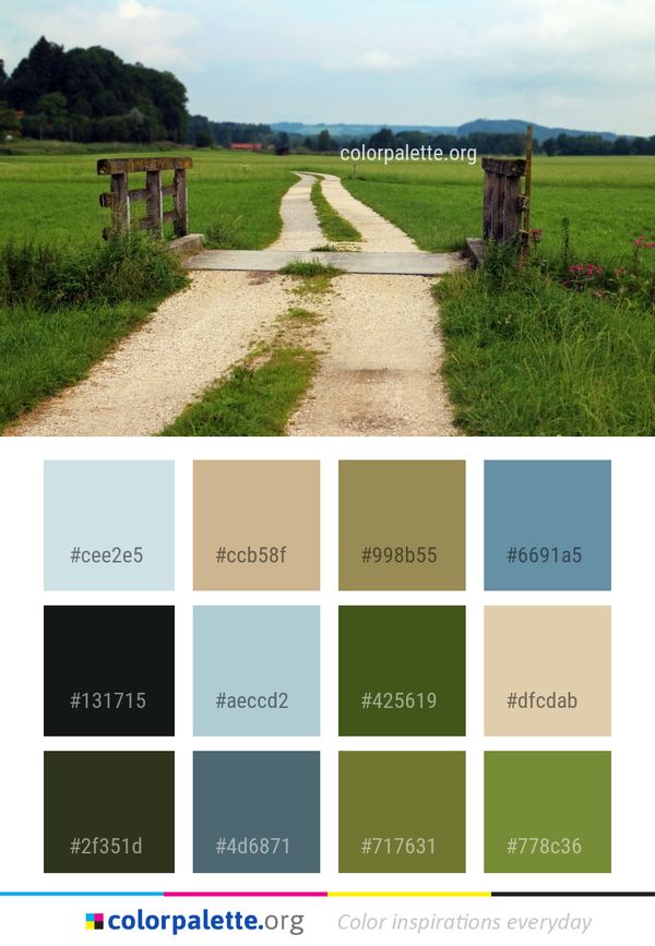 Grassland Path Pasture Color Palette