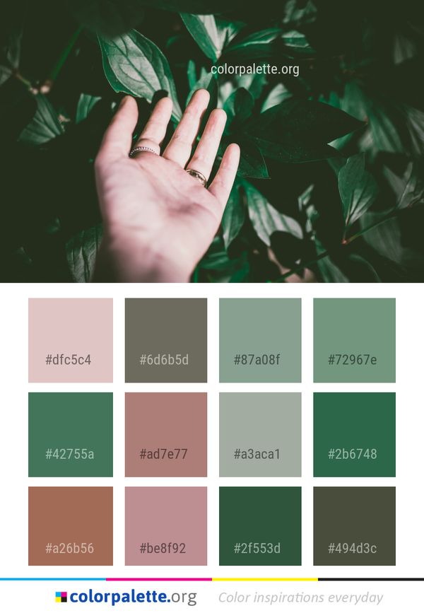 Green Leaf Hand Color Palette
