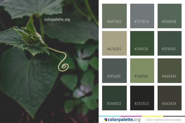 Leaf Plant Flora Color Palette