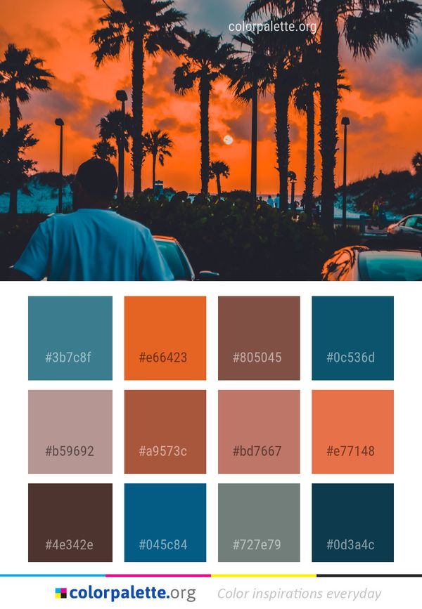 Sky Nature Tree Color Palette