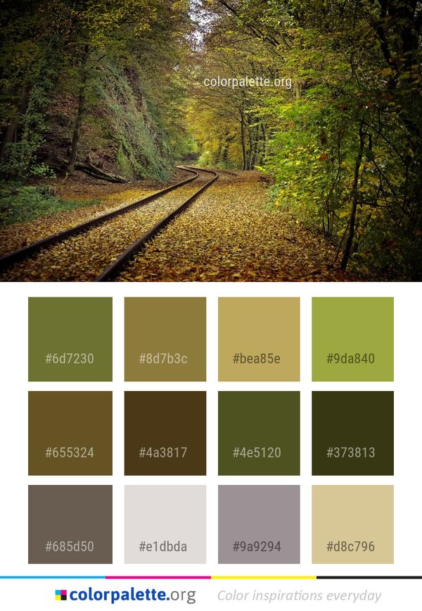 Track Leaf Nature Color Palette