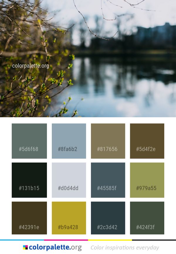 Water Reflection Leaf Color Palette
