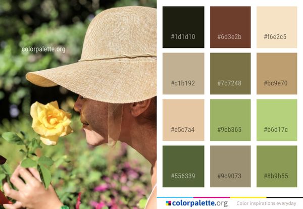 Yellow Sun Hat Color Palette