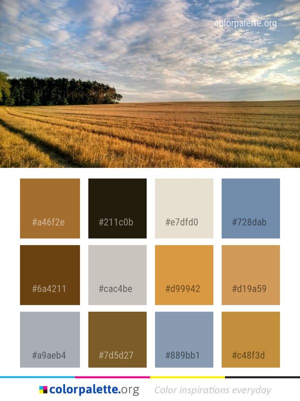 Field Sky Crop Color Palette