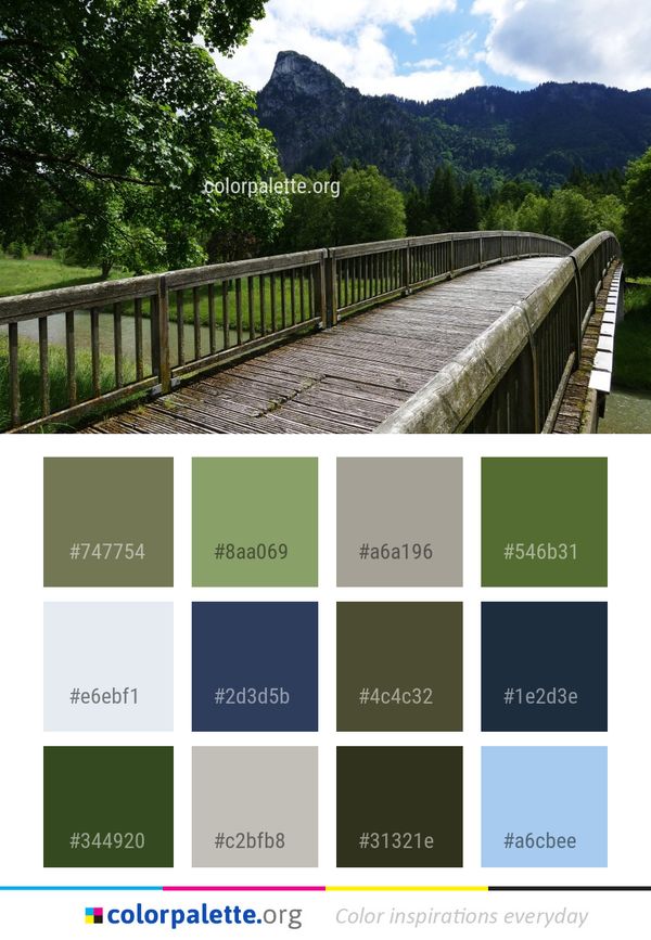 Nature Bridge Tree Color Palette