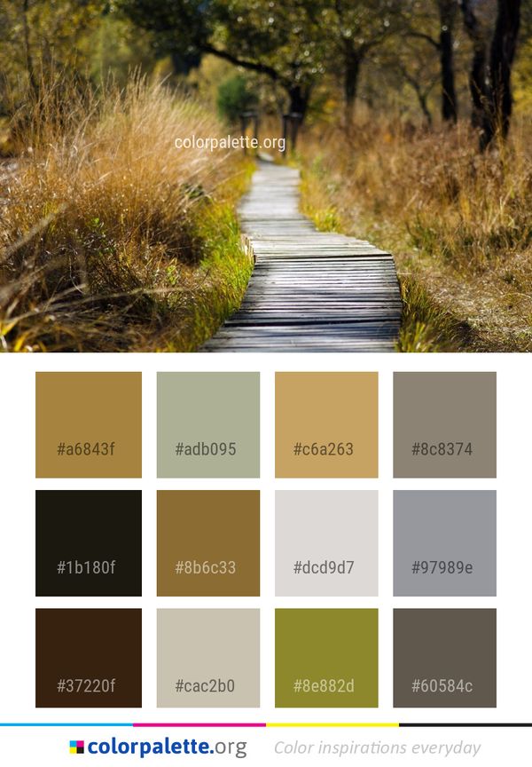 Path Ecosystem Grass Color Palette