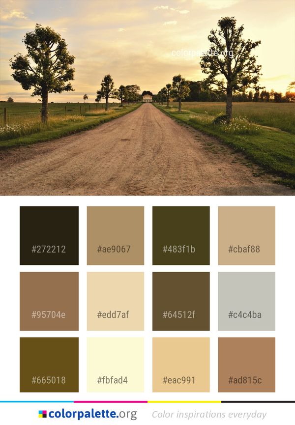 Road Sky Tree Color Palette