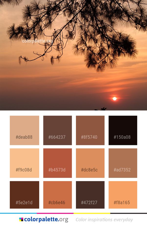 Sky Branch Tree Color Palette