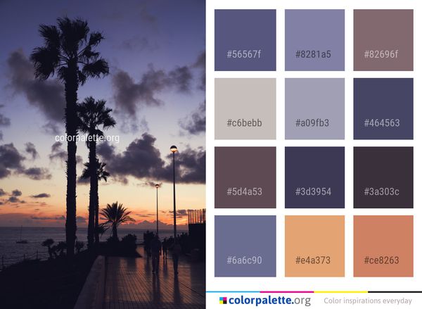 Sky Cloud Tree Color Palette