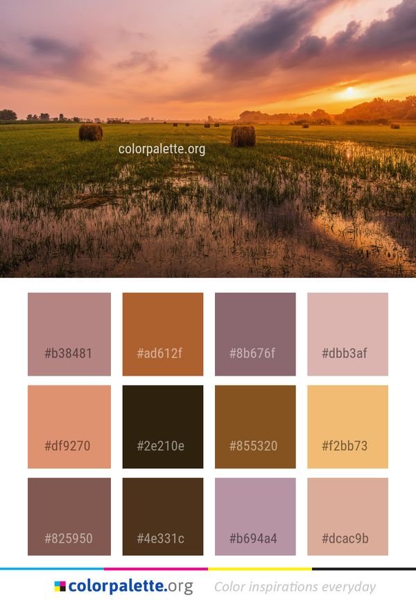 Sky Field Grassland Color Palette