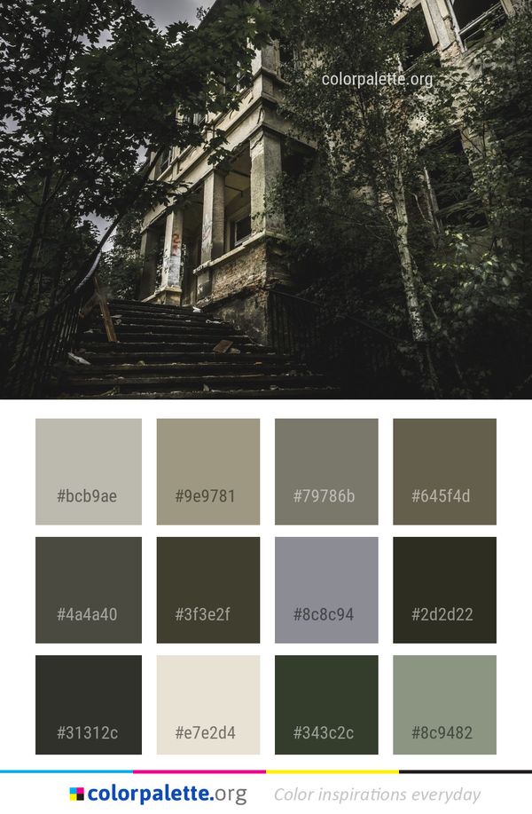 Tree House Building Color Palette