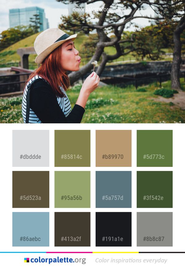 Tree Photograph Woody Plant Color Palette