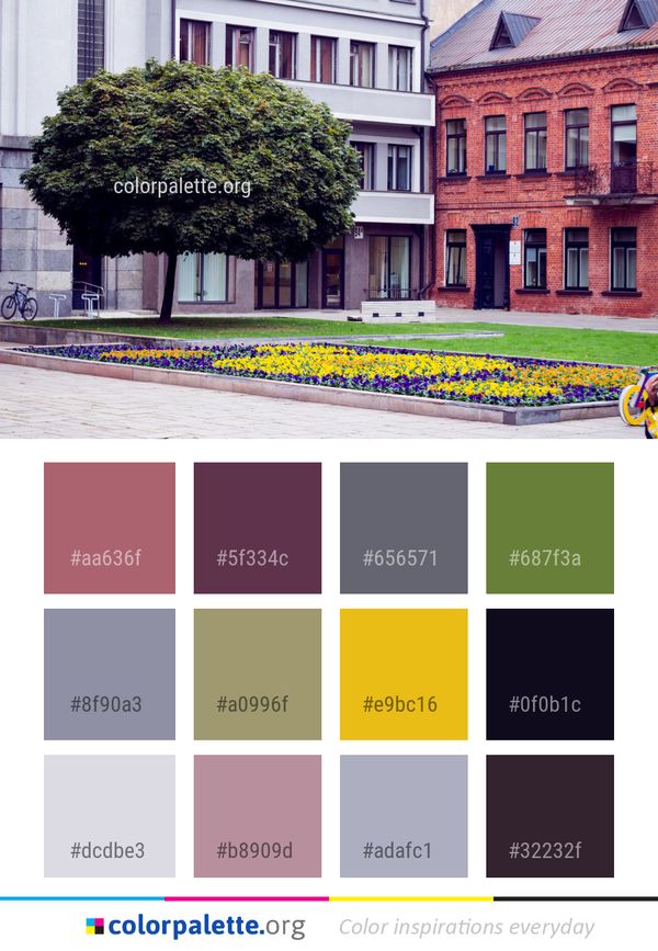 Architecture Neighbourhood House Color Palette