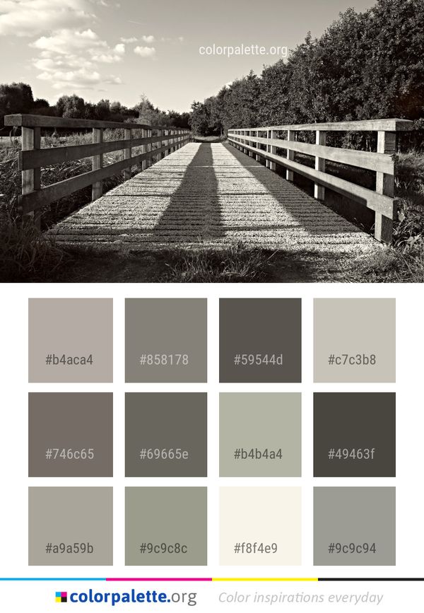 Black Nature And White Color Palette