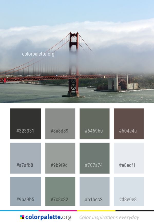 Bridge Suspension Cable Stayed Color Palette