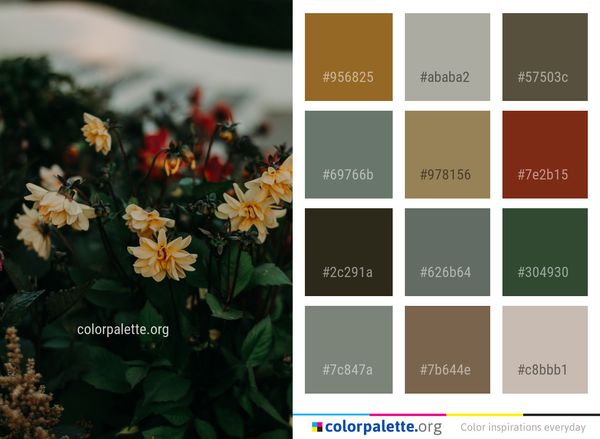 Flower Plant Flowering Color Palette