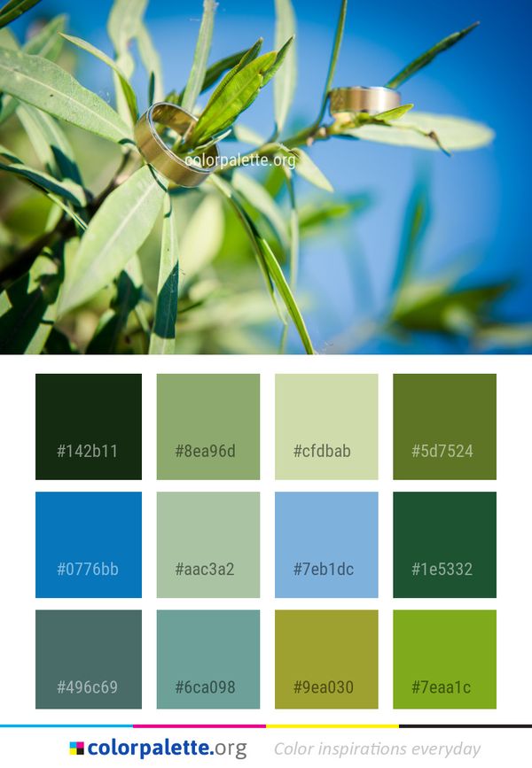 Leaf Vegetation Plant Color Palette