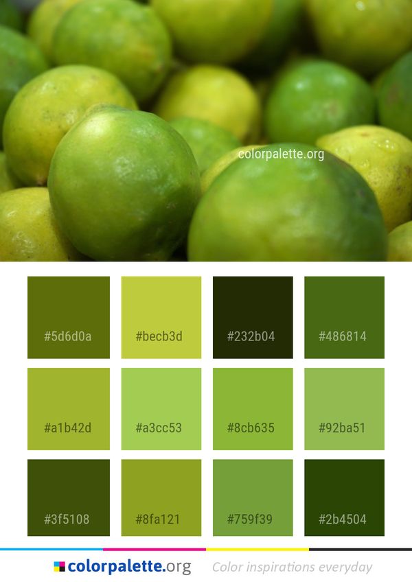 Lime Persian Fruit Color Palette