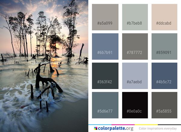 Reflection Water Nature Color Palette