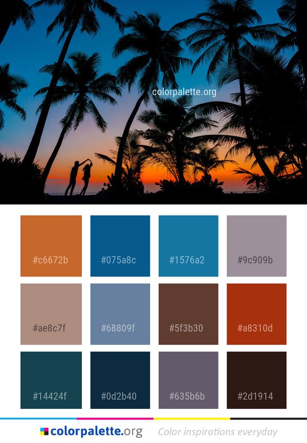 Sky Nature Palm Tree Color Palette