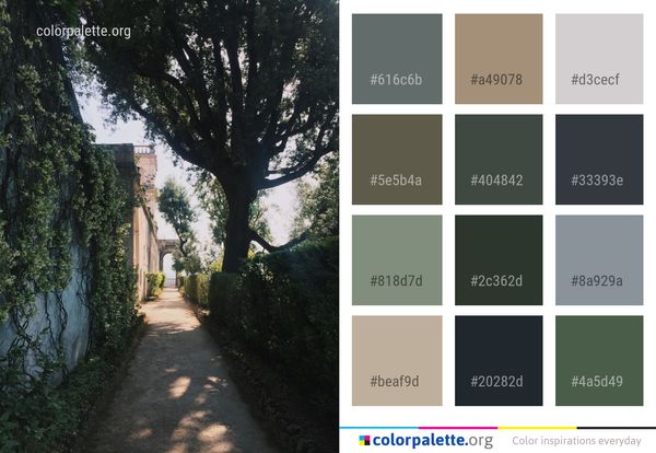 Tree Woody Plant Sky Color Palette