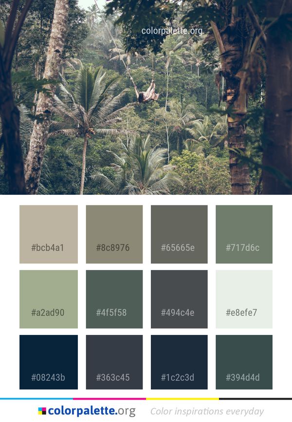 Vegetation Nature Ecosystem Color Palette