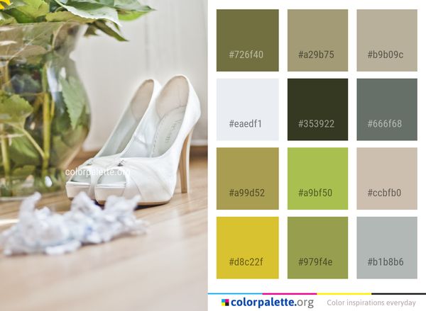 White Photograph Footwear Color Palette