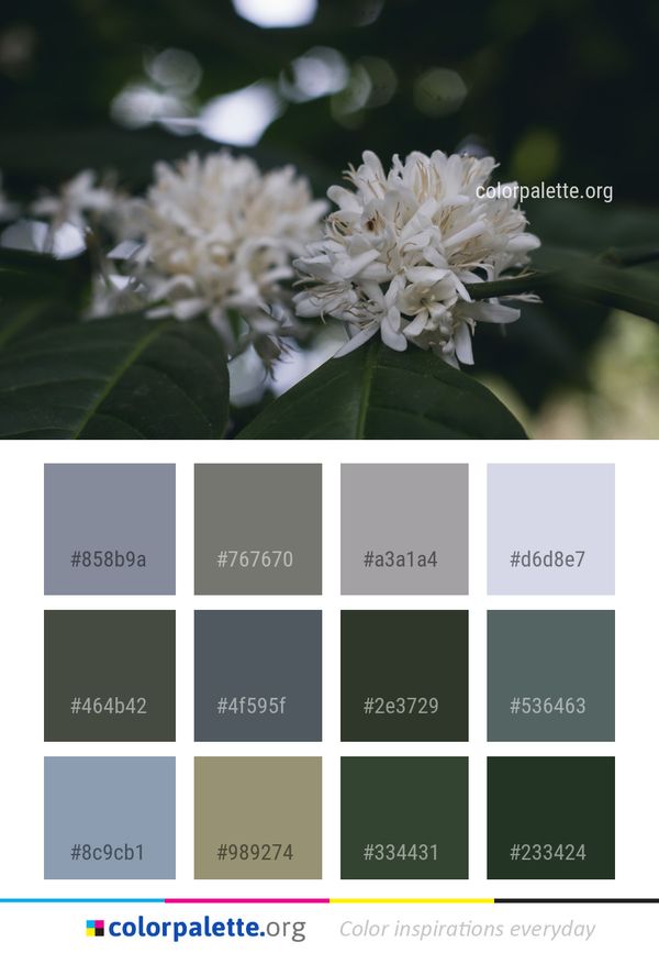 White Plant Flora Color Palette