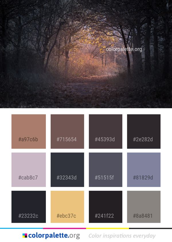 Woodland Forest Nature Color Palette