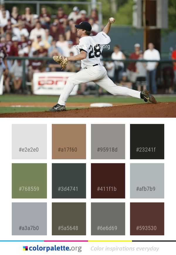Baseball Player Bat And Ball Games Positions Color Palette