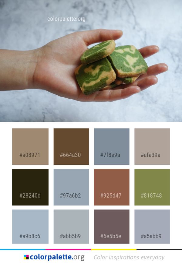 Colorful Color Palette